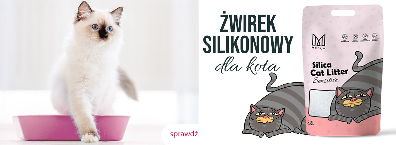 żwirek