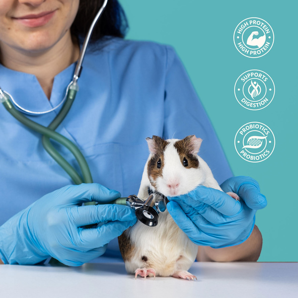 Suszone larwy muszki żołnierskiej dla gadów, gryzoni i ryb 1kg BSL