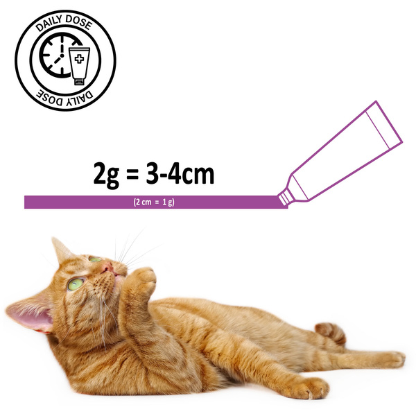 Pasta odkłaczająca dla kota z biotyną, suplement diety Mersjo Anti-Hairball 100g