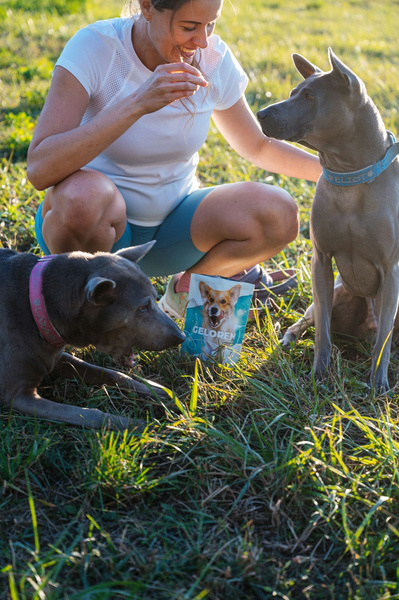 Geloren Small Dog 180g - Mieszanka uzupełniająca, żelki dla psów na stawy